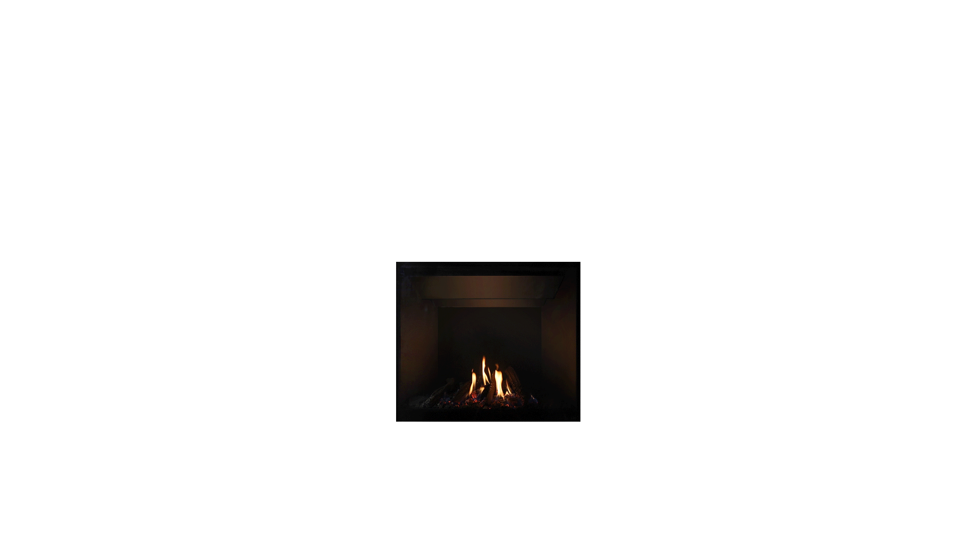 DF990 Dog 2 cinemagraph