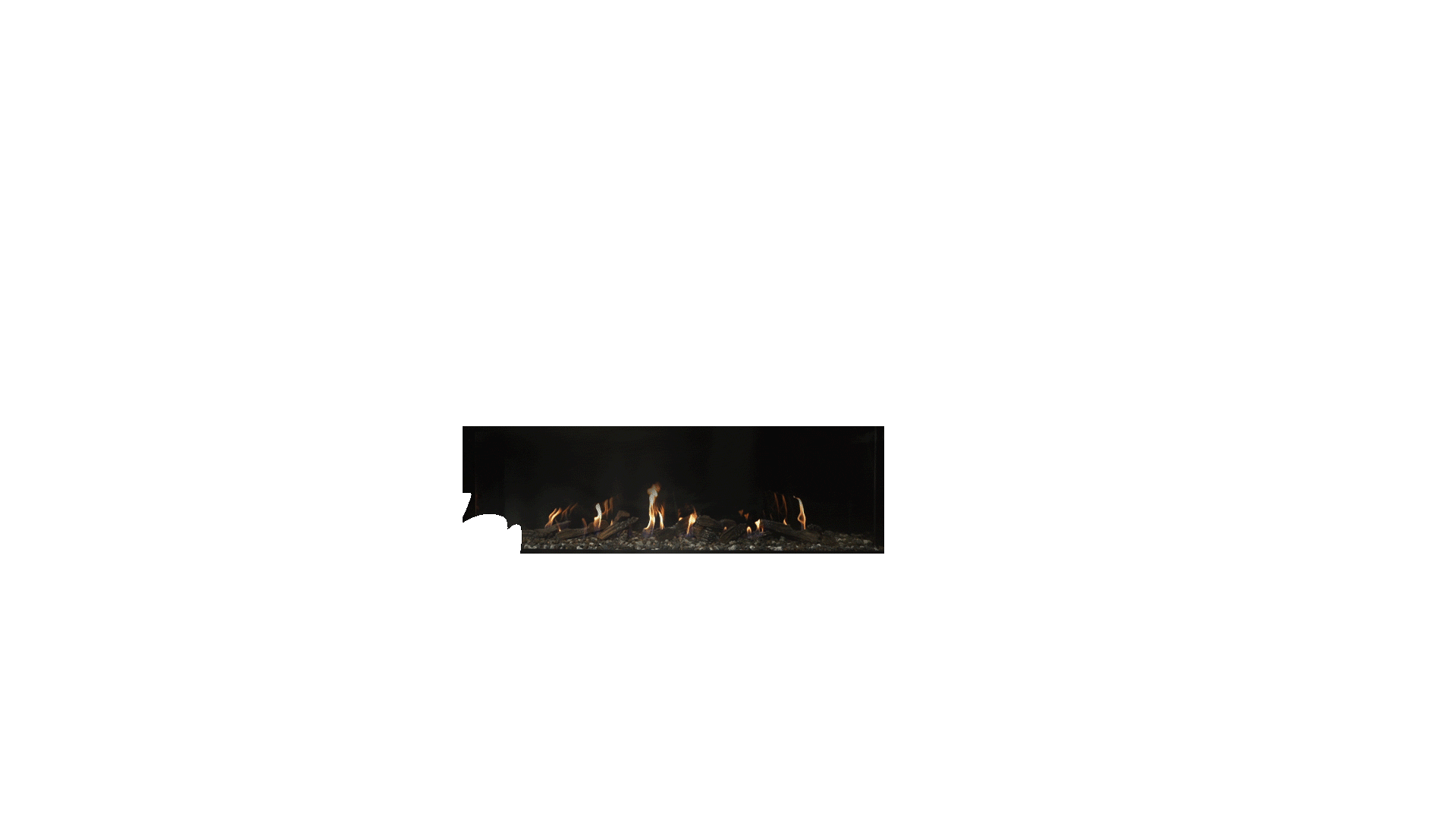 DF990 Dog 2 cinemagraph
