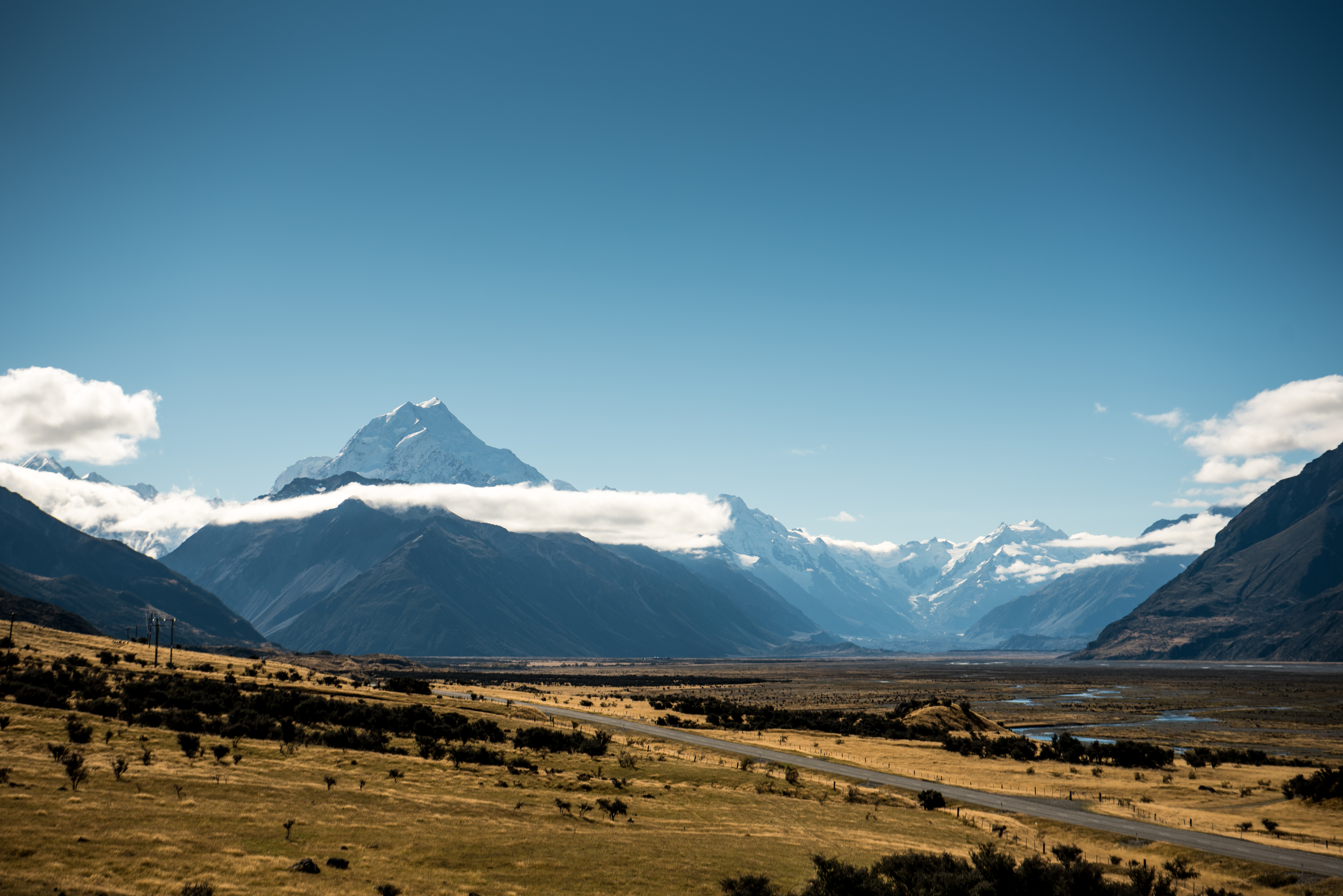Made in NZ