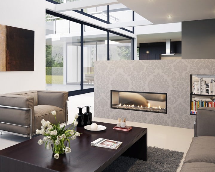 DX Series Fireplace